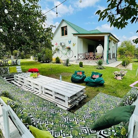 Villa Rokiti מראה חיצוני תמונה
