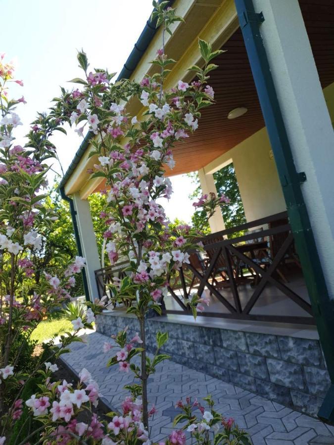 Villa Rokiti מראה חיצוני תמונה