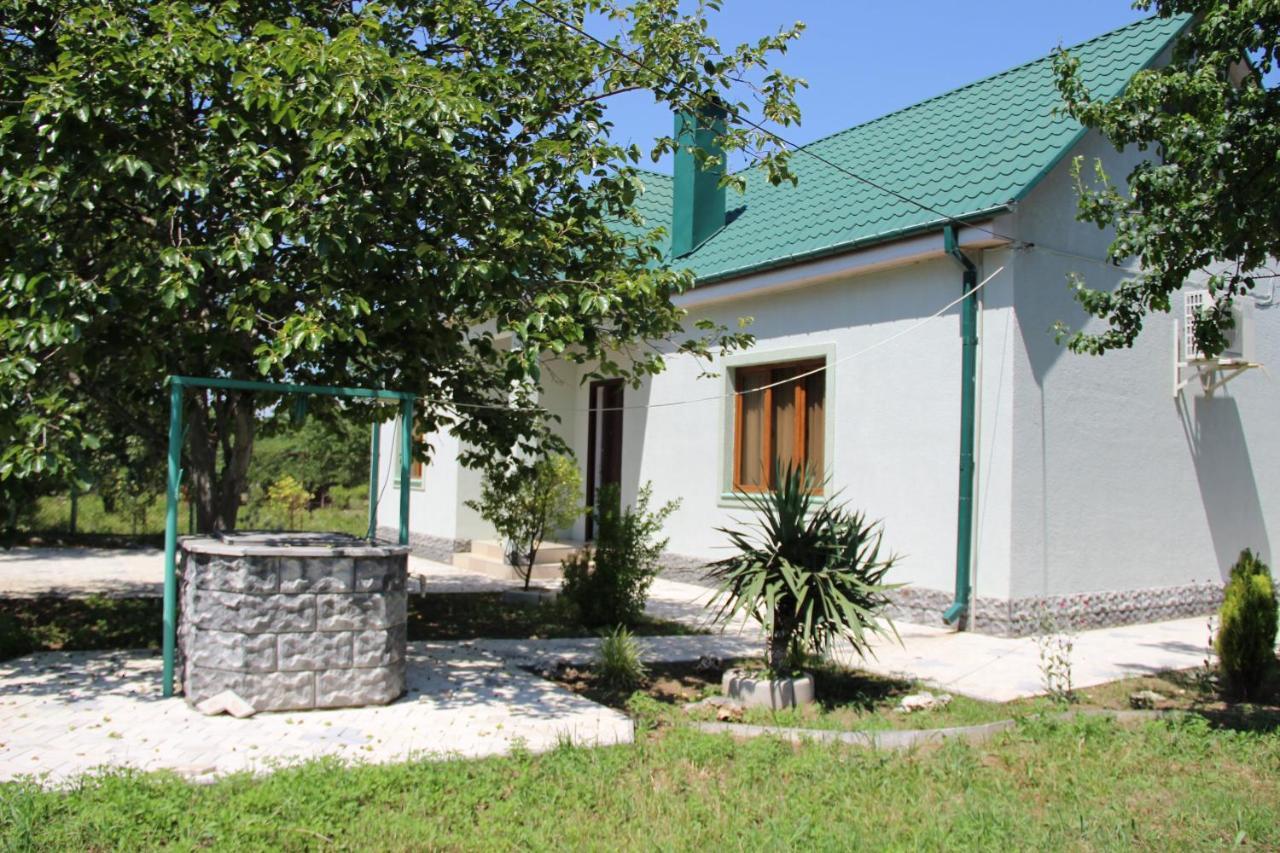 Villa Rokiti מראה חיצוני תמונה