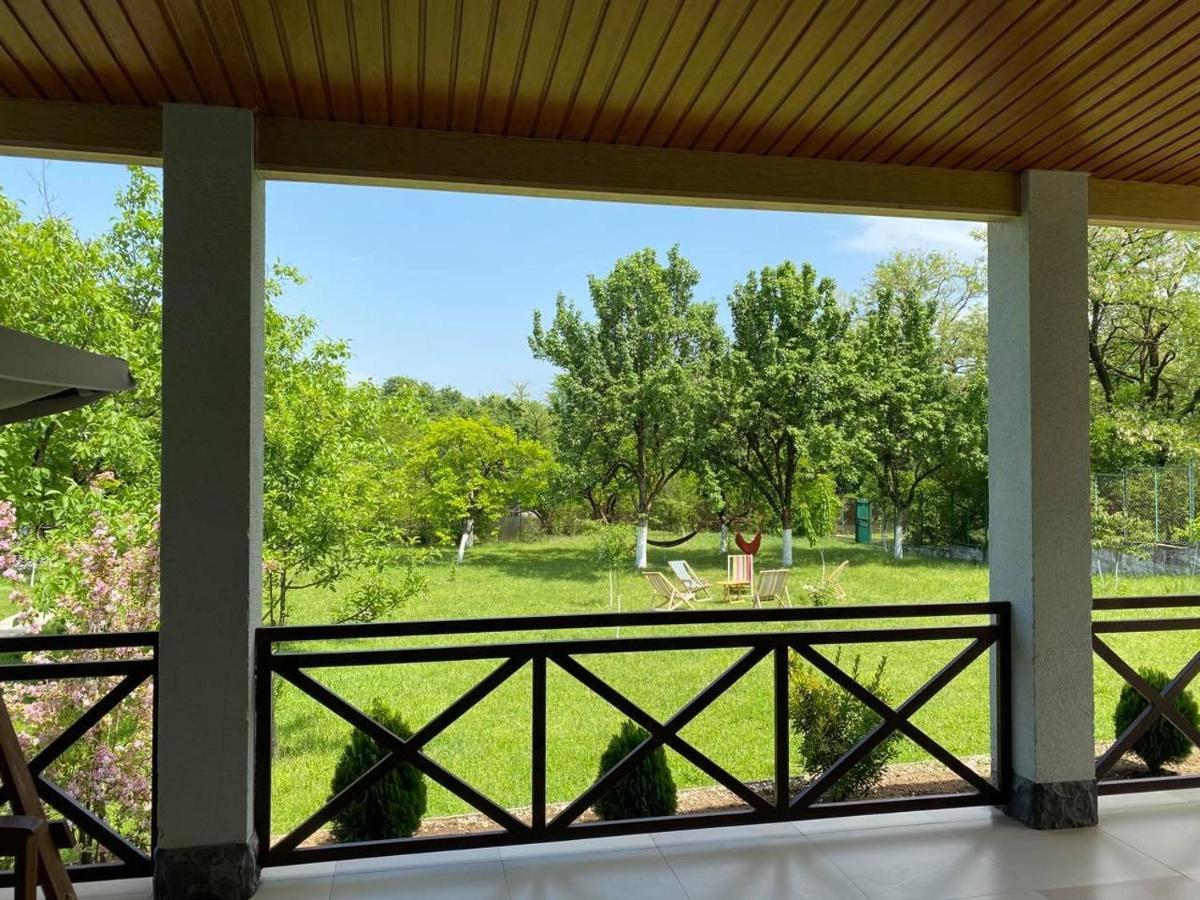 Villa Rokiti מראה חיצוני תמונה