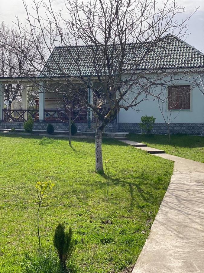 Villa Rokiti מראה חיצוני תמונה