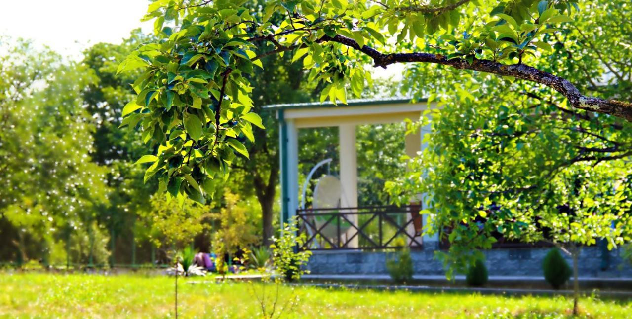 Villa Rokiti מראה חיצוני תמונה
